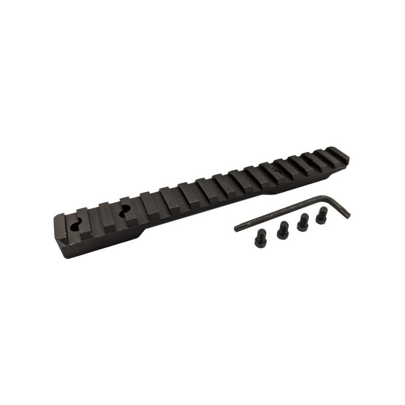 Rail Winchester XPR PIC/WEAV Standard