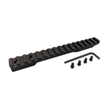 Rail Winchester XPR PIC/WEAV Standard