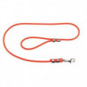 Laisse Biothane tubulaire Hélen Baud orange pour chien - 120 cm
