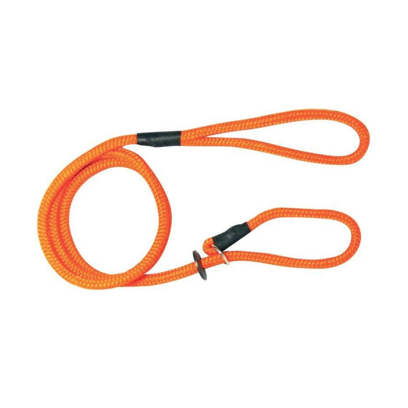 Laisse Lasso Roc Import