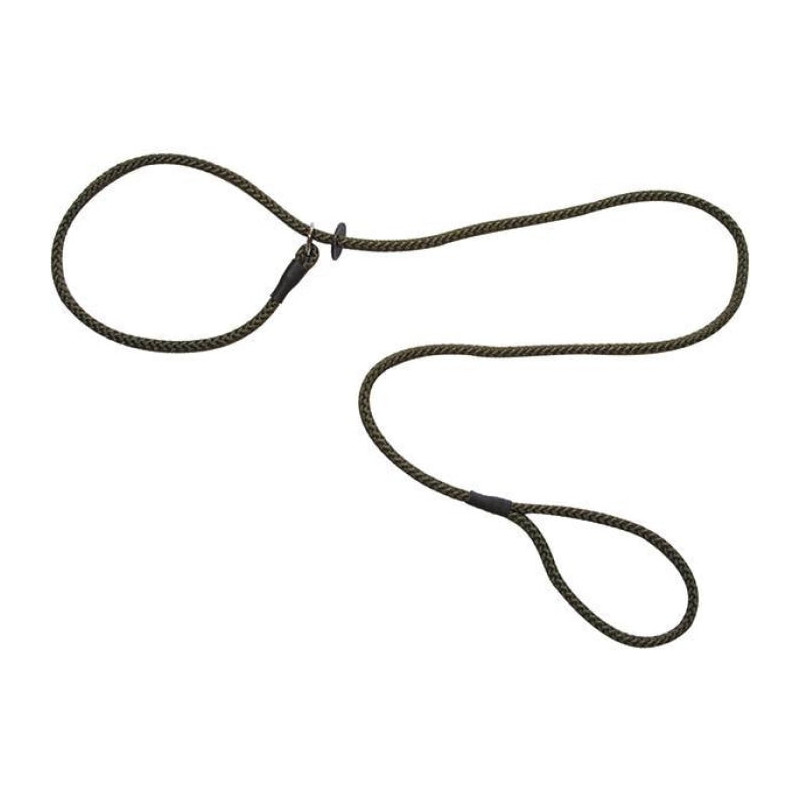 Laisse Lasso Roc Import