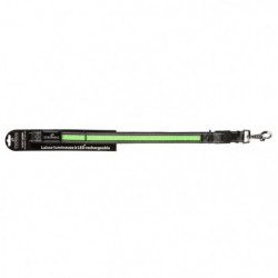 Laisse Lumineuse Num'Axes Rechargeable