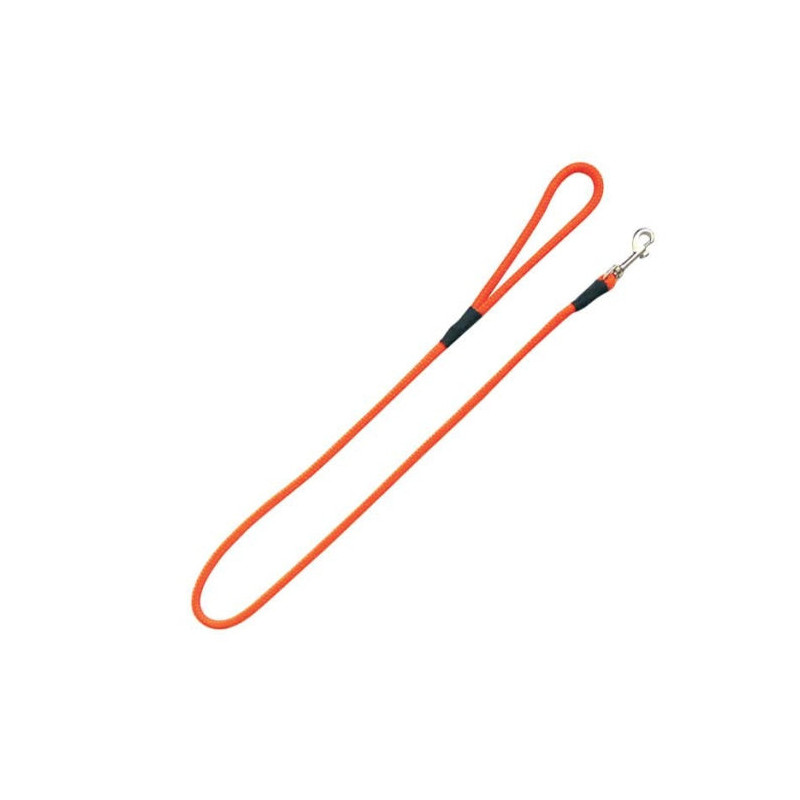 Laisse Roc Import Mousqueton Orange
