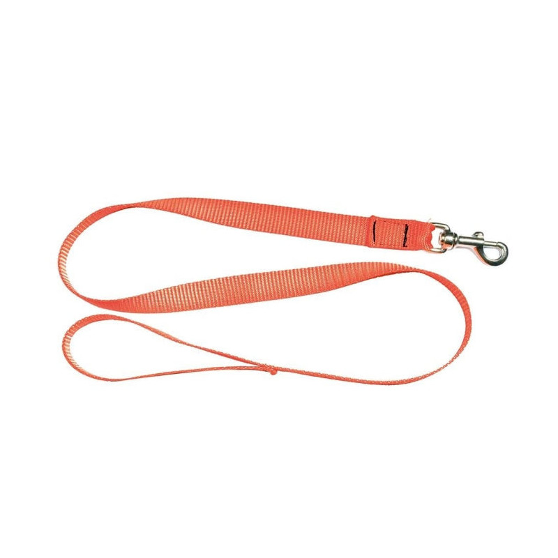 Laisse sangle Country orange fluo - 1,20 m