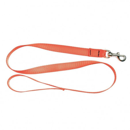 Laisse sangle Country orange fluo - 1,20 m