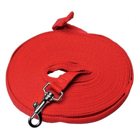 Laisse sangle Januel - 5 m