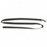 Laisse sangle nylon Europarm pour chien - 150 cm