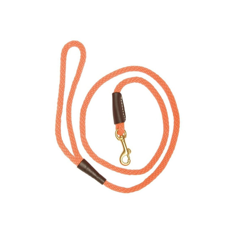 Laisses pour chien avec mousqueton Country orange