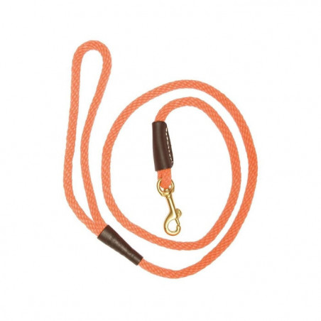 Laisses pour chien avec mousqueton Country orange