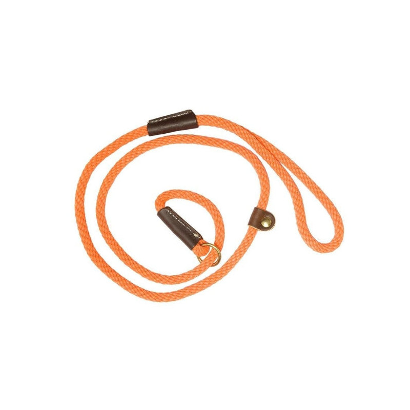 Laisses Ronde de dressage Country orange