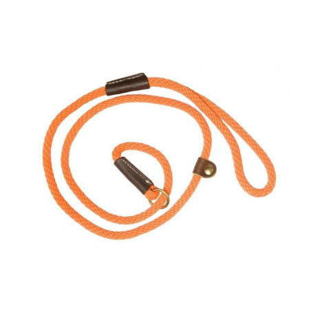 Laisses Ronde de dressage Country orange