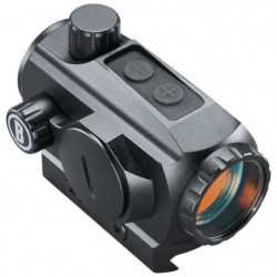 Point Rouge Bushnell TRS...
