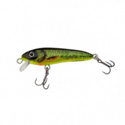 Leurre Abu Garcia...