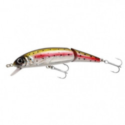 Leurre Abu Garcia Tormentor...