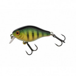Leurre dur Berkley Pulse...
