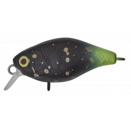 Leurre Illex Chubby Area 3,8 cm