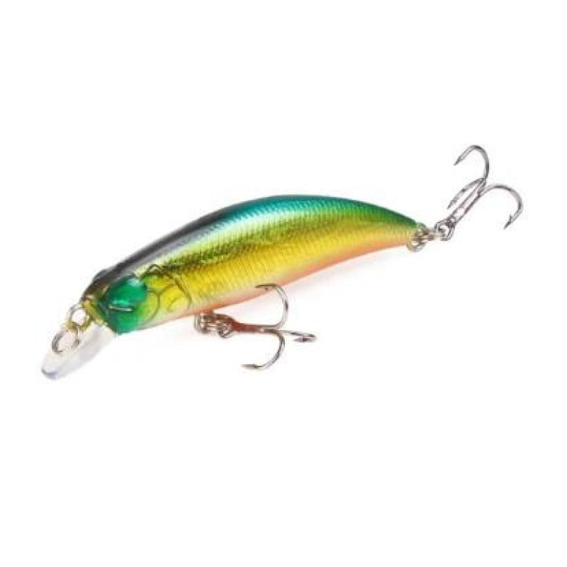 Leurre rigide Manica Naufrage 6 cm - 4 g