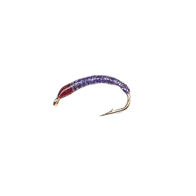 Nymphe Vertigone CB 1