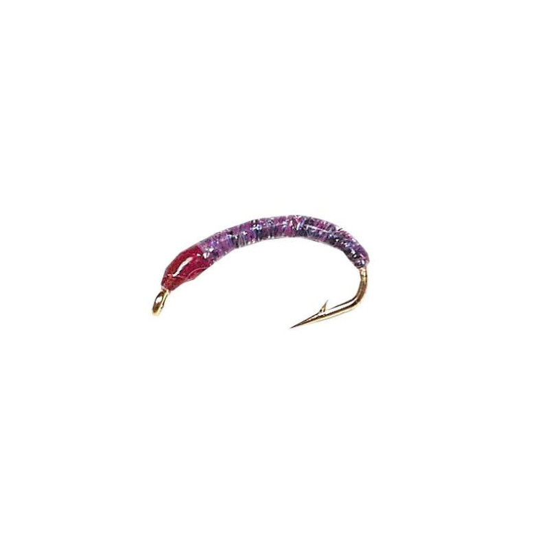 Nymphe Vertigone CB 3