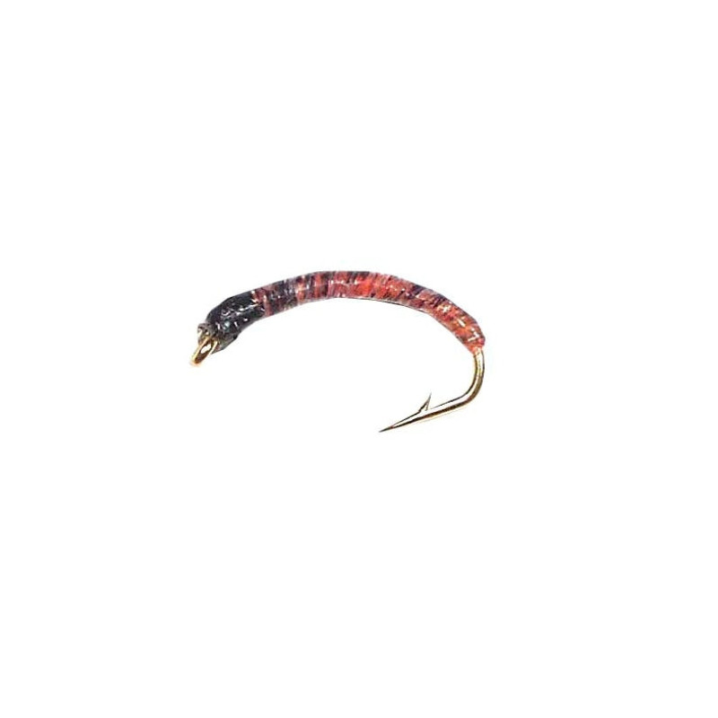 Nymphe Vertigone CB 5