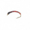 Nymphe Vertigone CB 5