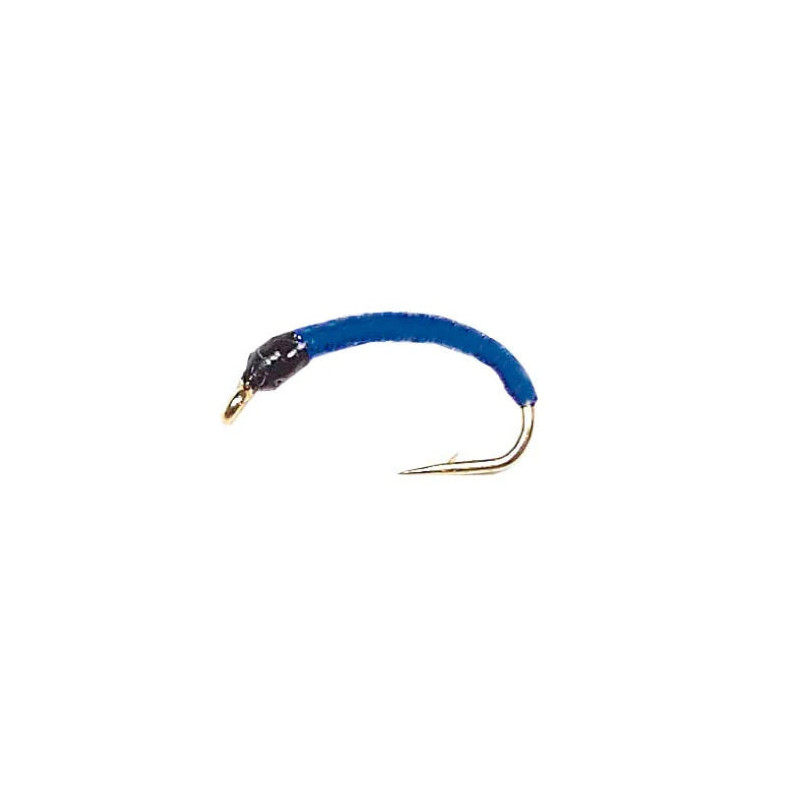 Nymphe Vertigone CB 6