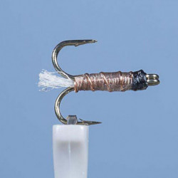 Nymphe Vertigone DN5