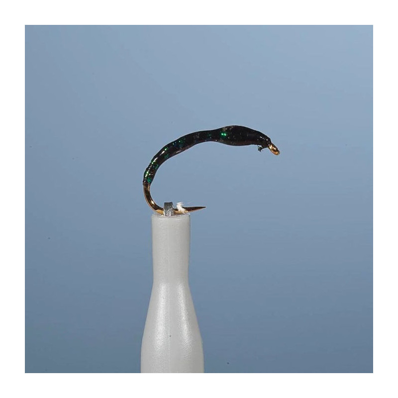 Nymphe Vertigone EF avec cerclage