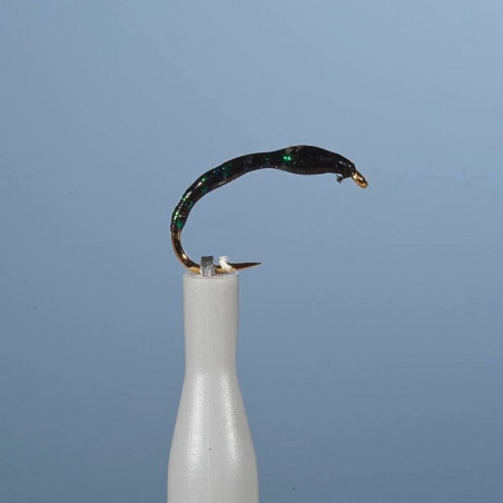 Nymphe Vertigone EF avec cerclage