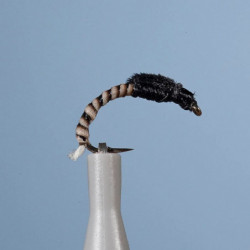 Nymphe Vertigone N30