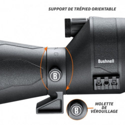 Longue vue Bushnell Engage 20-60x80 coudée 45°