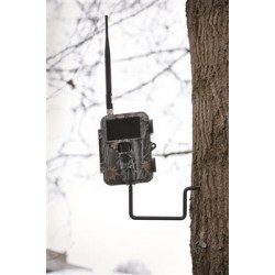 Vis de fixation Dörr sur tronc d'arbre