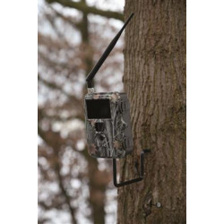 Vis de fixation Dörr sur tronc d'arbre