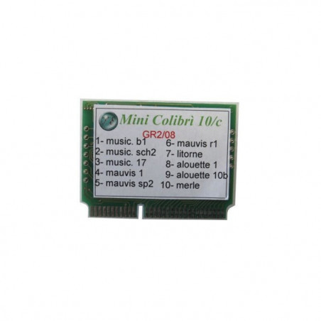 Puce 10 Pistes Tecnoest pour Mini Colibri GR3 - Divers