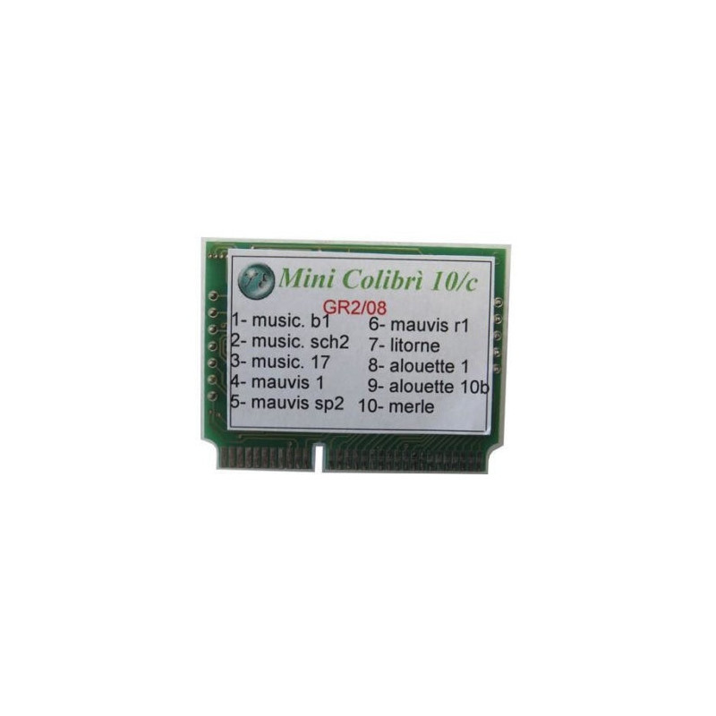 Puce 10 Pistes Tecnoest pour Mini Colibri GR4 - Gibier d'Eau