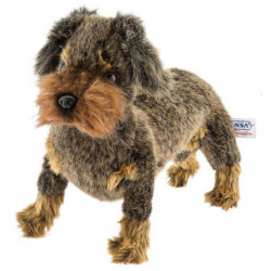 Peluche Teckel à poil dur Europarm