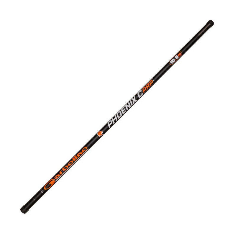 Pack canne Garbolino Phoenix Carp accessoires