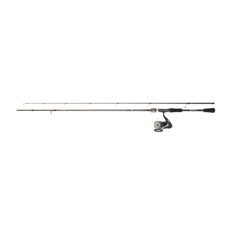 Pack Ensemble spinning Daiwa Tsuki JB 21 accessoires