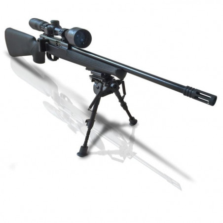 Pack Carabine ISSC SPA 22 Tactical 22LR Lunette 3-9X50 Bipied