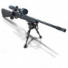 Pack Carabine ISSC SPA 22 Tactical 22LR Lunette 3-9X50 Bipied