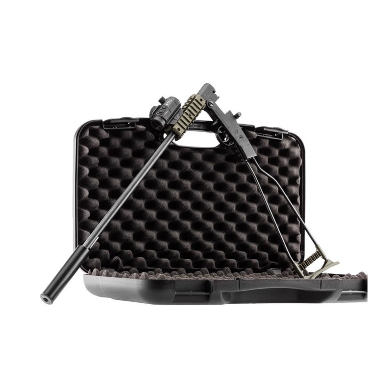 Pack carabine pliante Chiappa little badger avec point rouge 3 moa et silencieux - Cal. 22LR