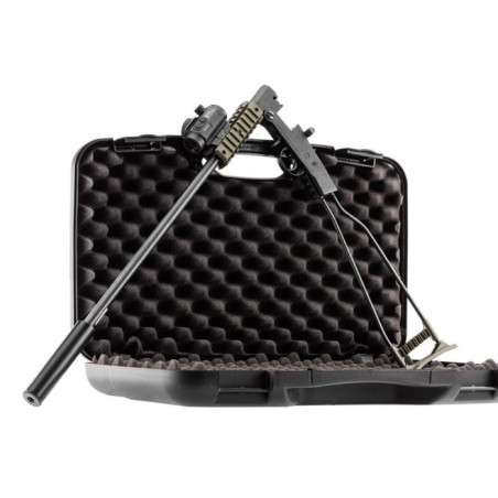 Pack carabine pliante Chiappa little badger avec point rouge 3 moa et silencieux - Cal. 22LR