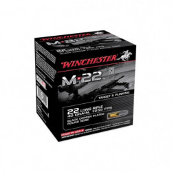 Munitions Winchester M22...