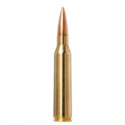 Balles Norma Golden Target...