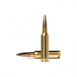 Balles Norma Evostrike -...