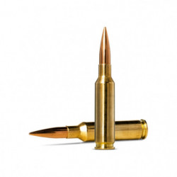 Balles Norma Golden Target...