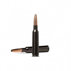 Balles Norma Oryx Silencer...