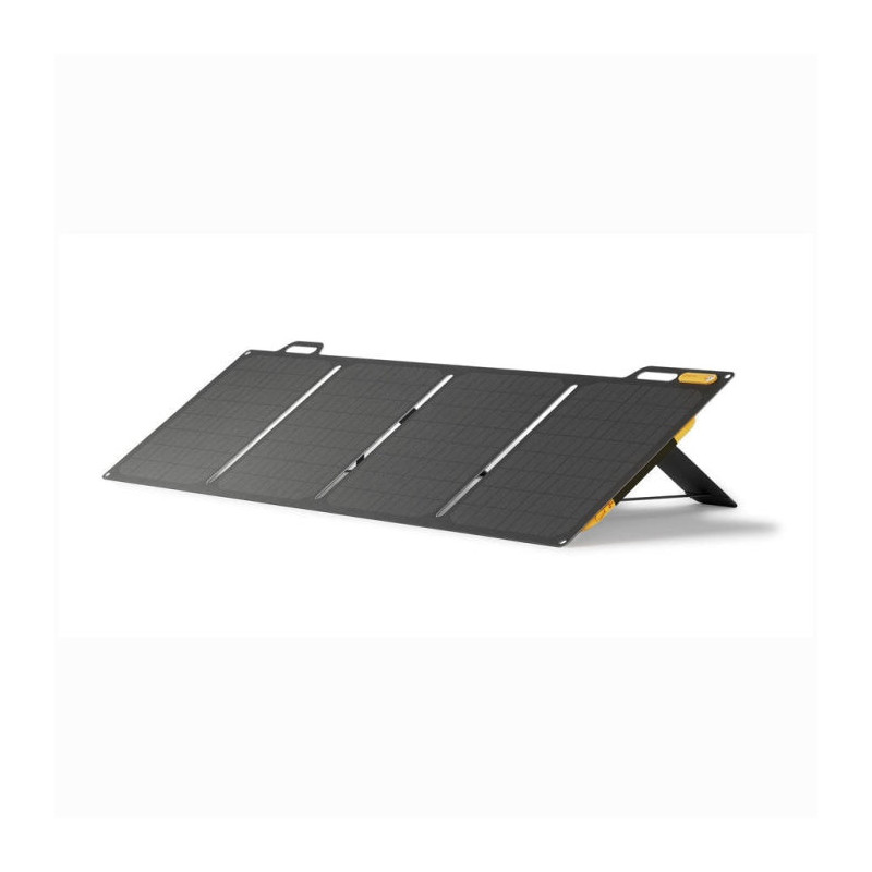 Panneau solaire BioLite Solarpanel 100