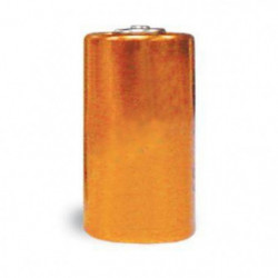 Pile alcaline PetSafe 6V