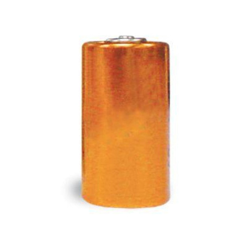 Pile alcaline PetSafe 6V